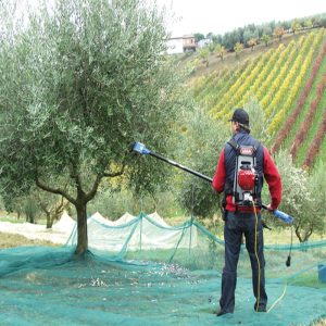Abbacchiatori elettrici per raccolta olive